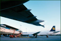 1109974681744 10384405