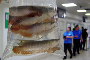 1110557069846 10436284