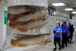 1110557069846 10436284 1110557069846 10436284