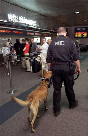 1113398505325 10435894