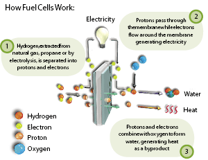 1114807474451 10384313