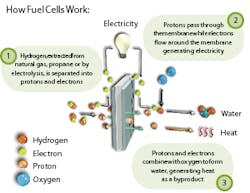 1114807474451 10384313 1114807474451 10384313