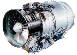 1116428624457 10385809