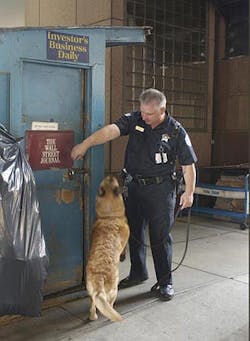 1120768027084 10433982 1120768027084 10433982