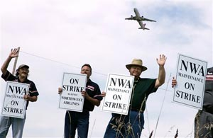 1124913506892 10432532