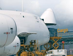 1125415192852 10384195