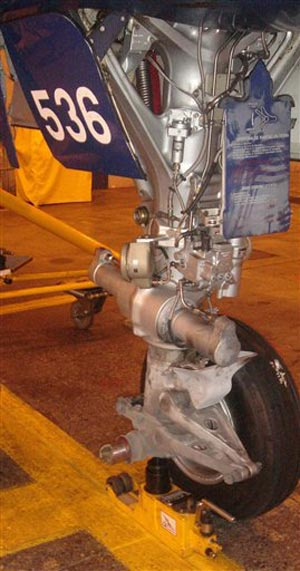 1127489892524 10431728