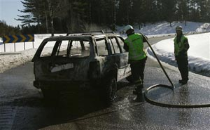 1141918600167 10401835