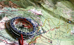 1142022062827 10383798