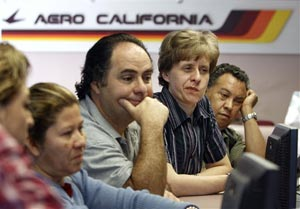 1144171563681 10401188