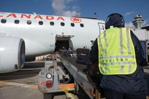 1146509935645 10382361