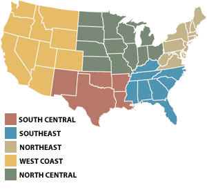 1147356218221 10382813