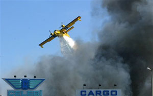 1148487912731 10399922