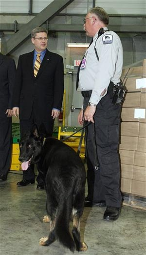 1150722153250 10399413