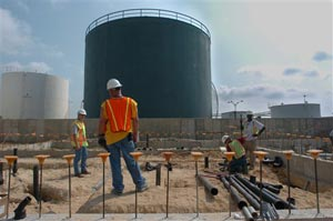 1154094536571 10398194