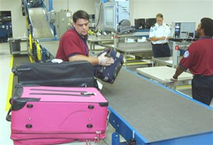 1154697546203 10398042