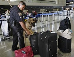 1155306572221 10397812 1155306572221 10397812