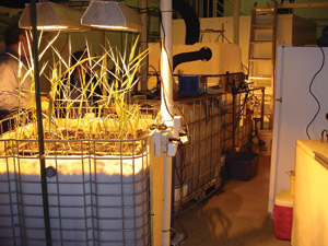 1170703611920 10380604