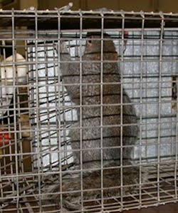 1171561488082 10392320 1171561488082 10392320