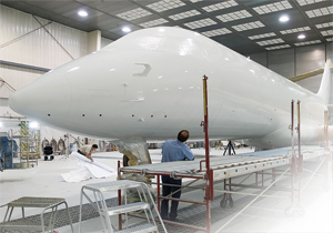 1172695844919 10381913