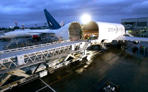 1177604793264 10390160