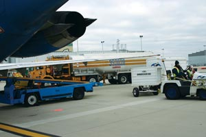 1178201619233 10379415