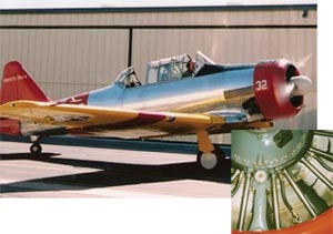 1183402756482 10381573