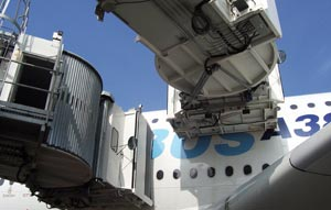 1189178131325 10379295