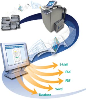 1189713140694 10381304