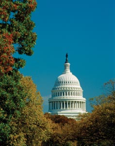 1189775273465 10379857