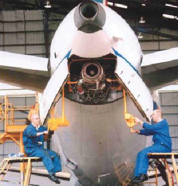 Fishpolehoists 10025124