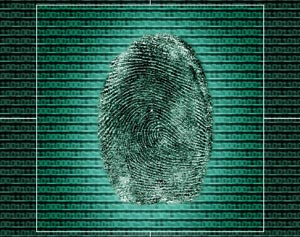 1204666955190 10376984