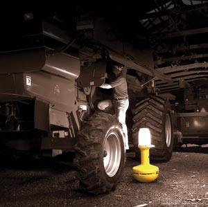 1205512649923 10378425