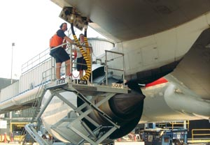 1208272520355 10375975