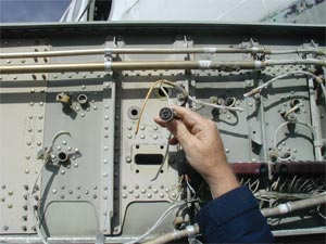 1216062495883 10378008