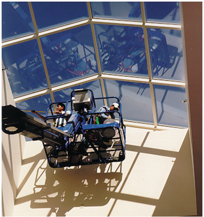 Cleaningmaintenanceservices 10133283