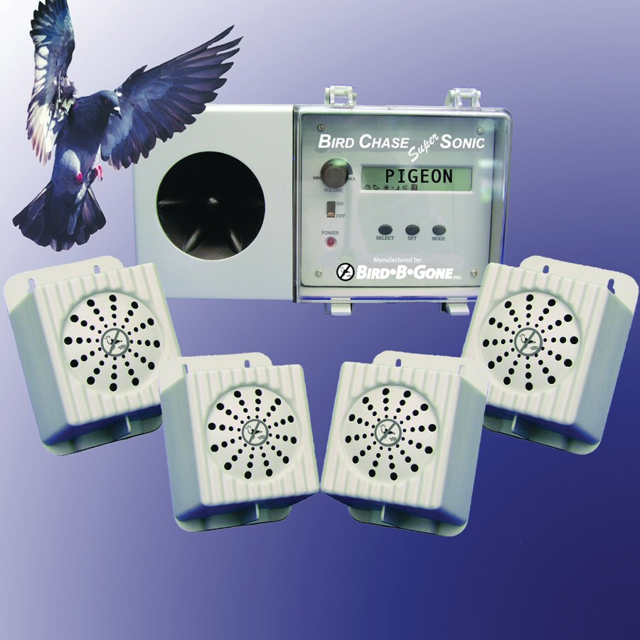 Bird Chase Super Sonic Aviation Pros