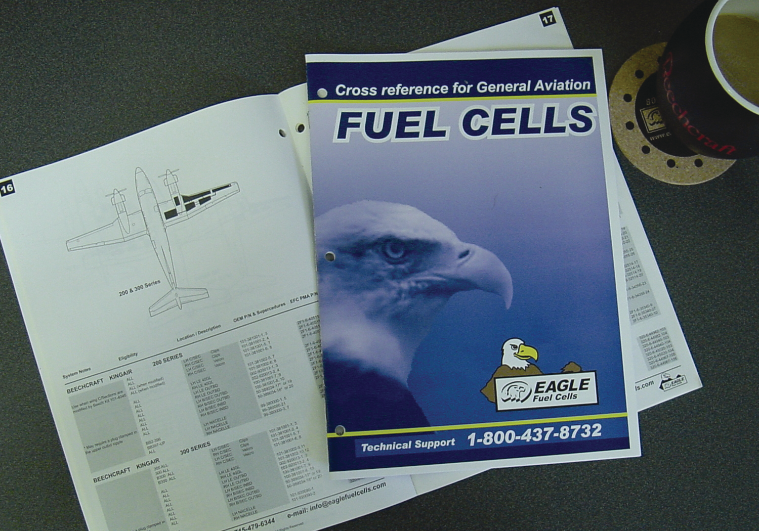 Eaglefuelcells 10137275