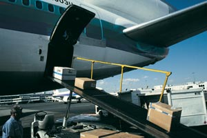 1236102617766 10372787