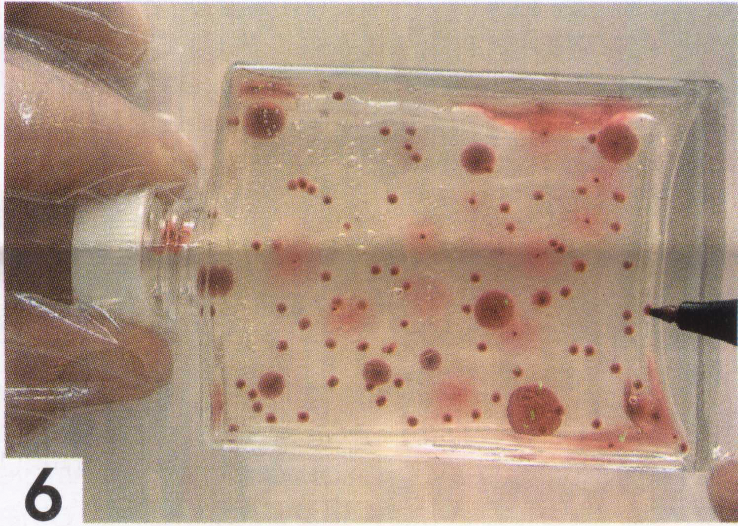 Microbmonitor2 10139347