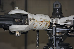 1297195025560 10370653