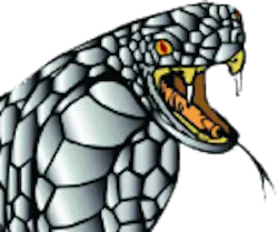 Cobracleansnakenewtrans 10301431 Cobracleansnakenewtrans 10301431