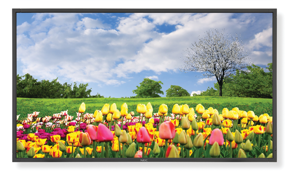 X462hb Ho Rgb 150 10453047