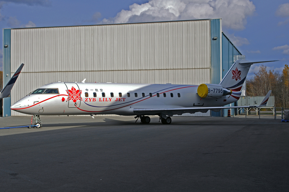 Flyingcoloursdelivers850tolily 10522503