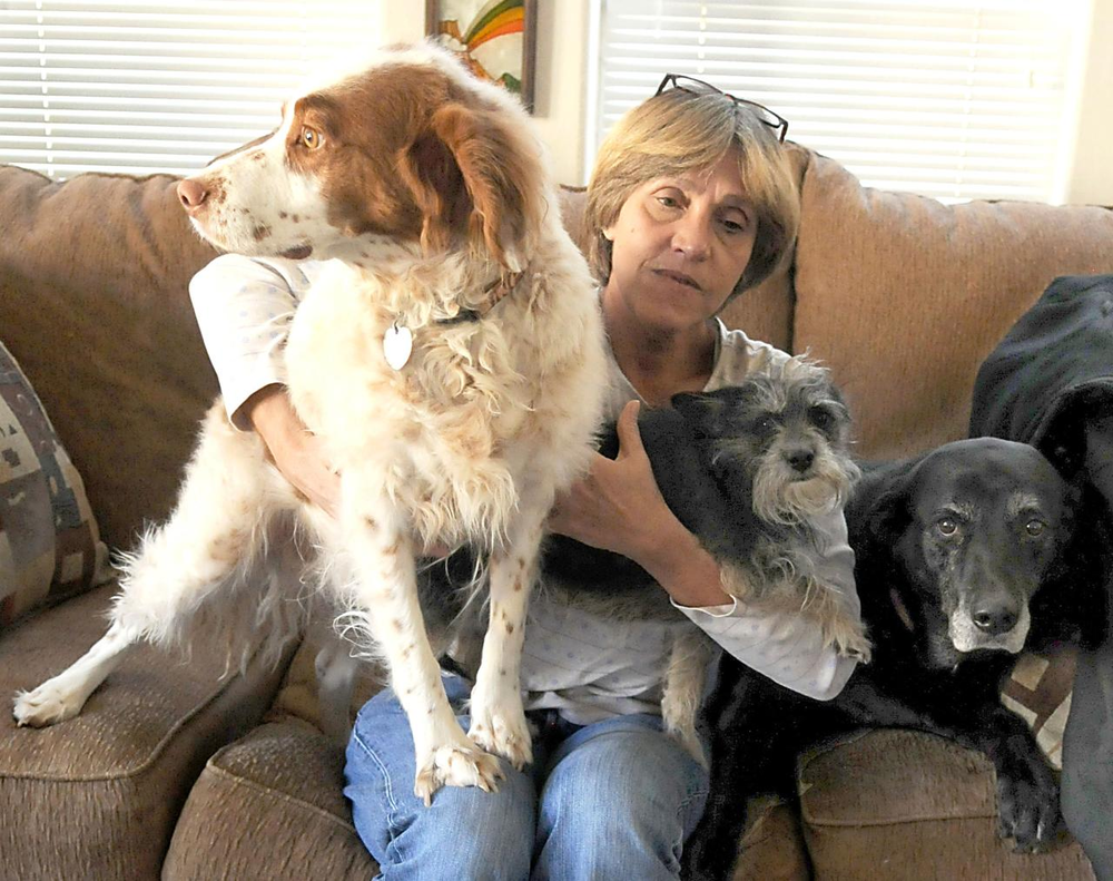 Lynn Jones was offered her job back with back pay after losing it by refusing to load an ailing dog onto a plane at RNO.