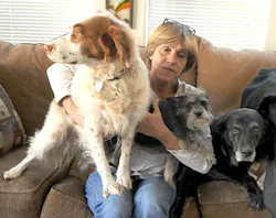 Lynn Jones was offered her job back with back pay after losing it by refusing to load an ailing dog onto a plane at RNO. Lynn Jones was offered her job back with back pay after losing it by refusing to load an ailing dog onto a plane at RNO.
