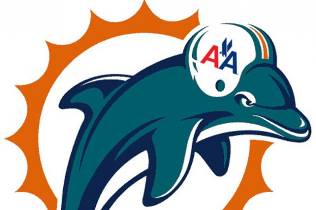 'That was the biggest hit the Dolphins had all night,' quipped one commenter on CNN affiliate WPLG-TV's website.