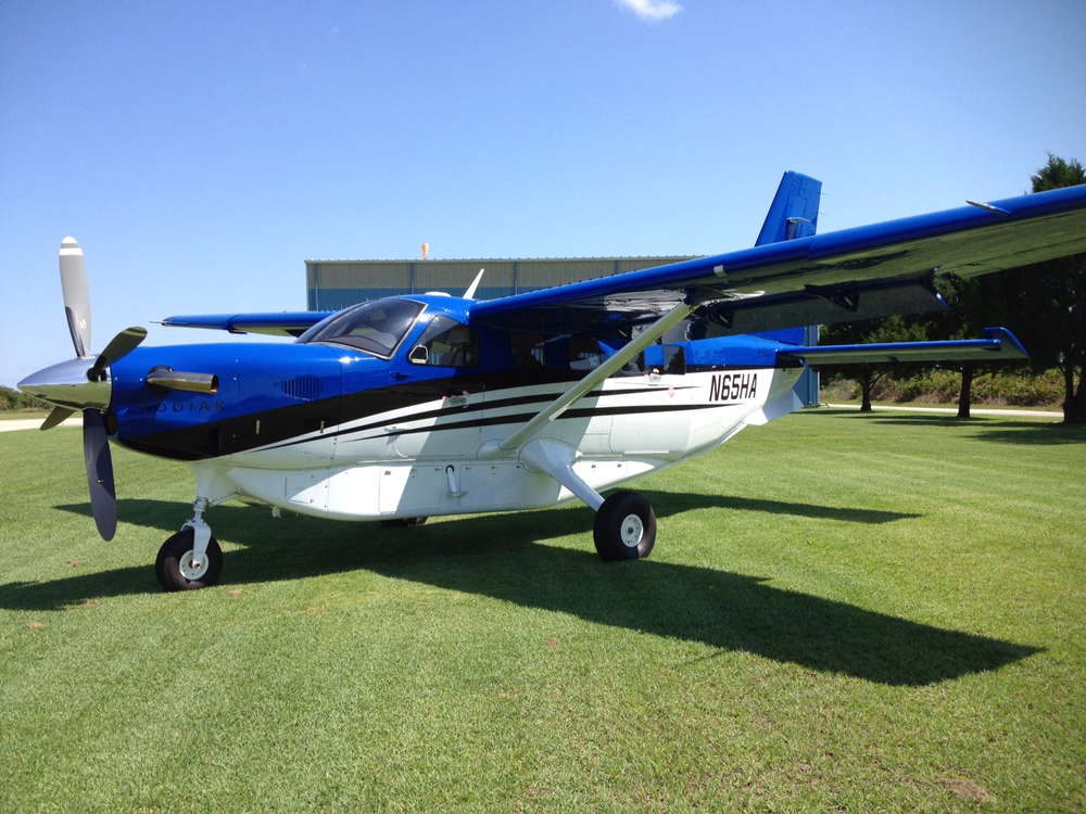 Kodiak Quest 10756737