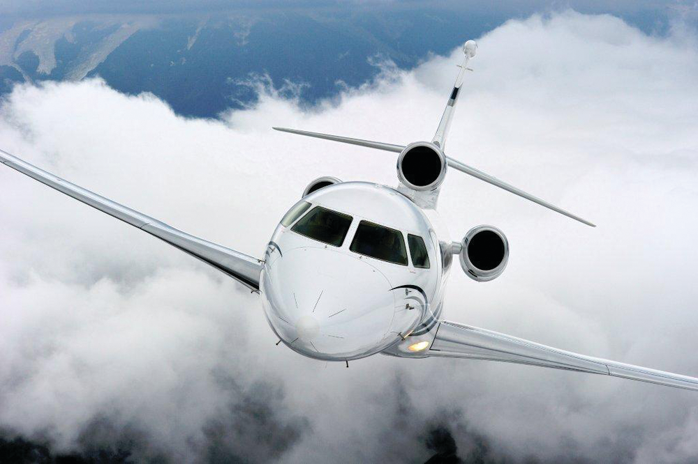 Falcon 10779243