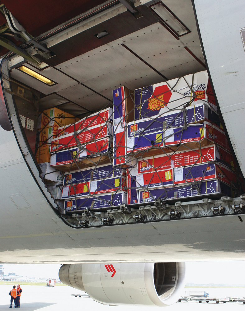 Lading Bloemen In Ruim Martina 10880366